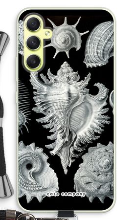 Haeckel Prosobranchia