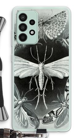 Haeckel Tineida