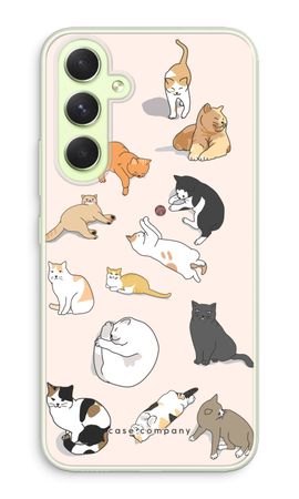 Chats