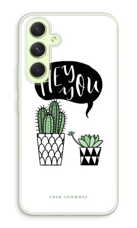 Hey you cactus