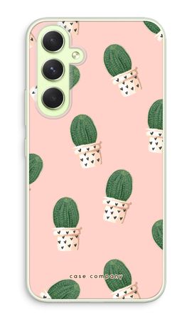Cactus rose