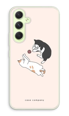 Jouer aux chats