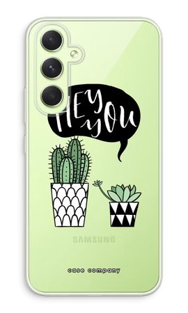 Hey you cactus