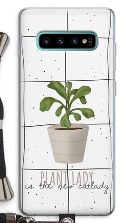 Houseplant on windowpane