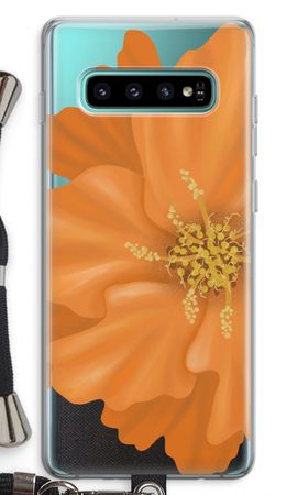 Orange Ellila flower