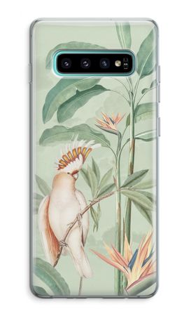 Tropical Parrot