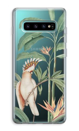 Tropical Parrot