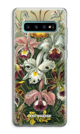 Haeckel Orchidae