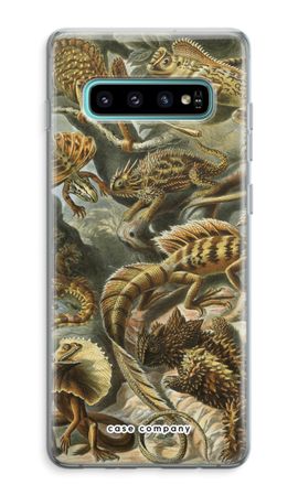 Haeckel Lacertilia