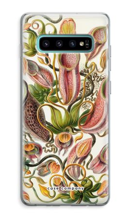 Haeckel Nepenthaceae