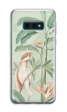 Pappagallo tropicale