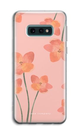 Peachy bloom