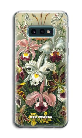 Haeckel Orchidae