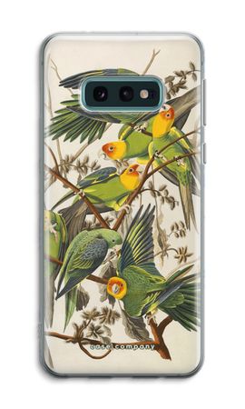 Carolina Parrot
