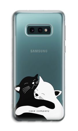 Gatti coccolosi