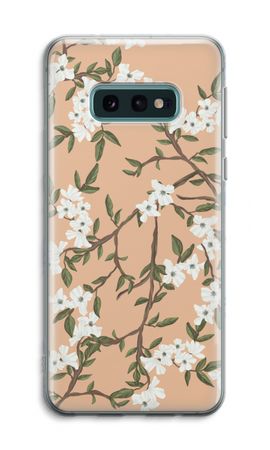 Blossoming spring