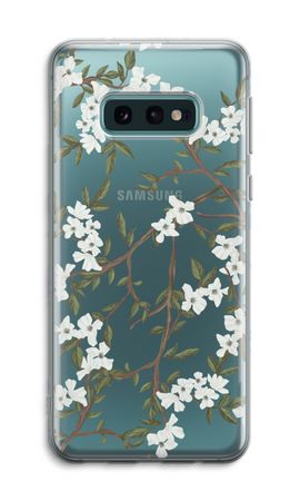 Blossoming spring