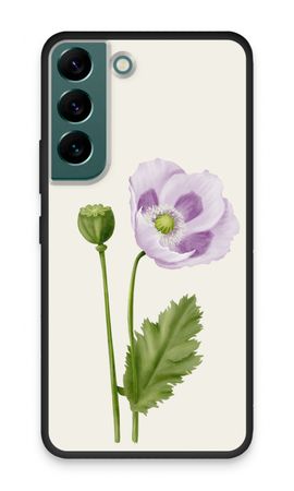 Purple poppy