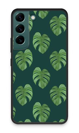 Monstera leaves