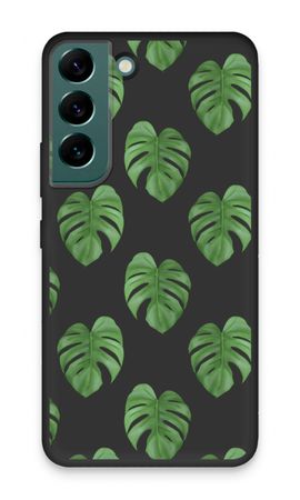 Monstera leaves