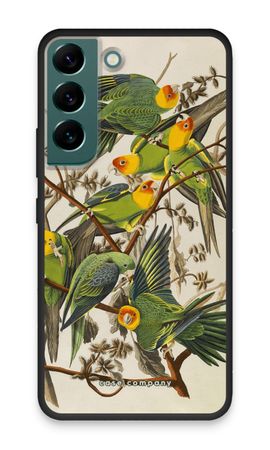 Carolina Parrot