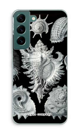 Haeckel Prosobranchia