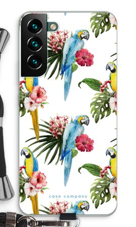 Farbenfrohe Papageien