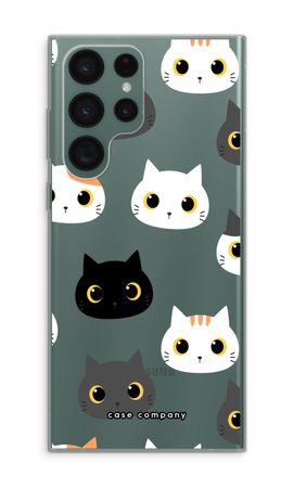 Katzen