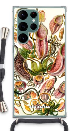 Haeckel Nepenthaceae