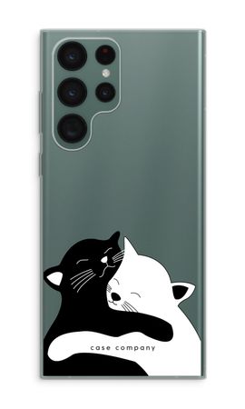 Gatti coccolosi