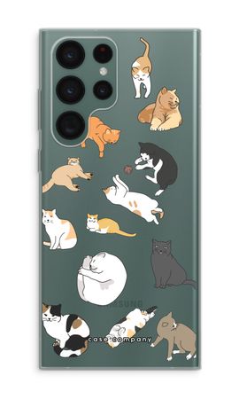 Gatti