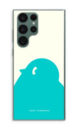 BIG Robin 1