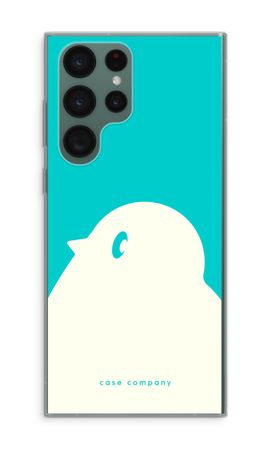 BIG Robin 2
