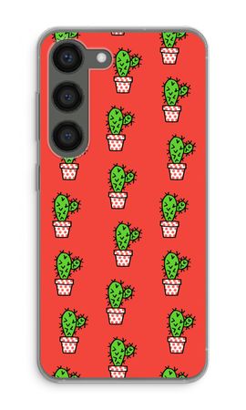 Mini cactus