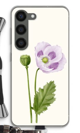 Purple poppy