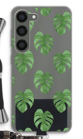 Monstera leaves