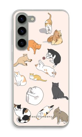 Katzen