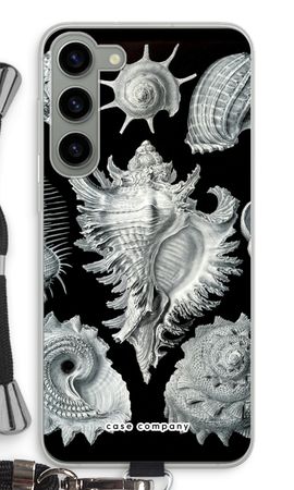 Haeckel Prosobranchia