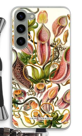 Haeckel Nepenthaceae