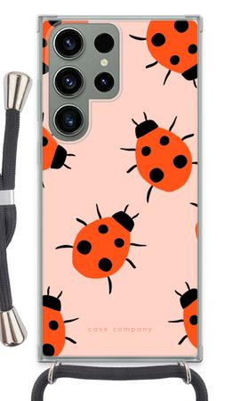 Ladybugs