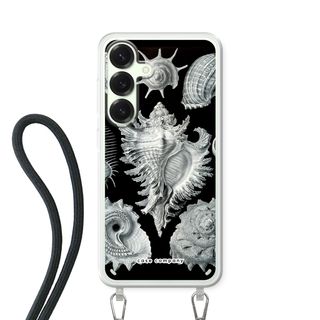 Haeckel Prosobranchia