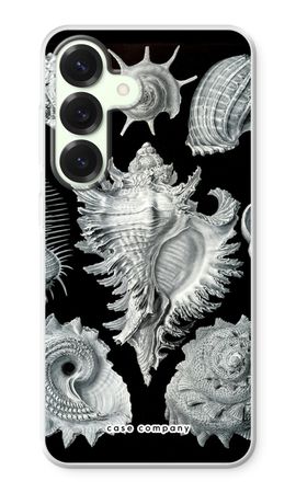 Haeckel Prosobranchia