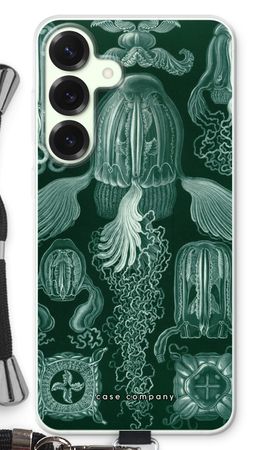 Haeckel Cubomedusae