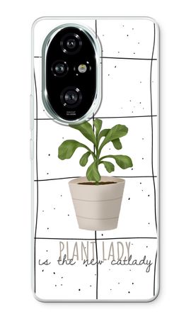 Houseplant on windowpane