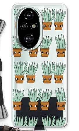 Sansevieria
