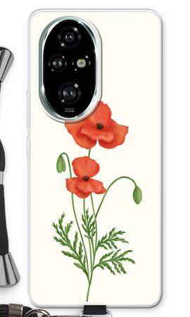 Red poppy