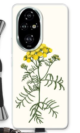 Tansy