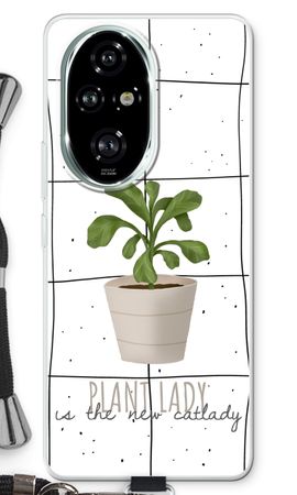 Houseplant on windowpane
