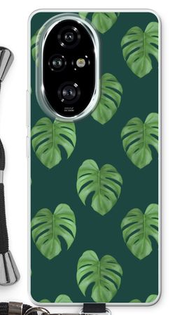 Monstera leaves