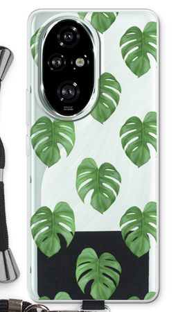 Monstera leaves